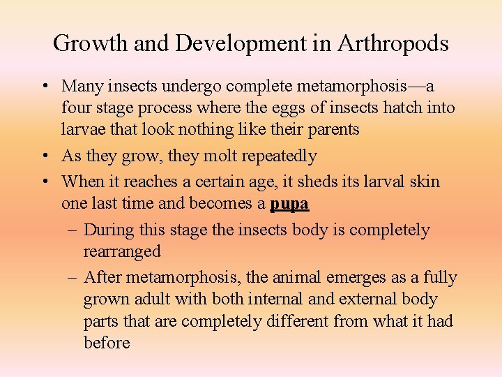 Growth and Development in Arthropods • Many insects undergo complete metamorphosis—a four stage process