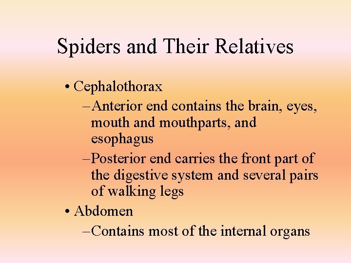 Spiders and Their Relatives • Cephalothorax – Anterior end contains the brain, eyes, mouth