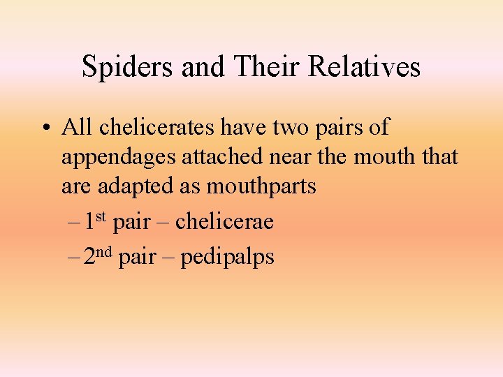 Spiders and Their Relatives • All chelicerates have two pairs of appendages attached near