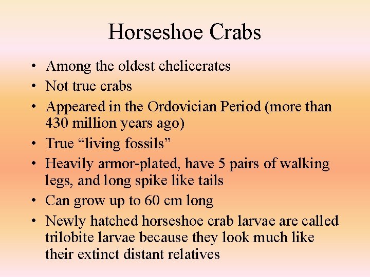 Horseshoe Crabs • Among the oldest chelicerates • Not true crabs • Appeared in