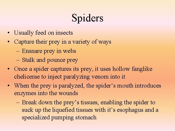 Spiders • Usually feed on insects • Capture their prey in a variety of