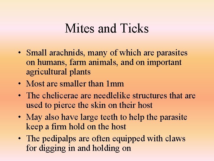 Mites and Ticks • Small arachnids, many of which are parasites on humans, farm