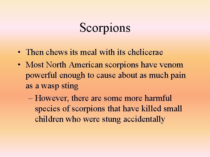 Scorpions • Then chews its meal with its chelicerae • Most North American scorpions