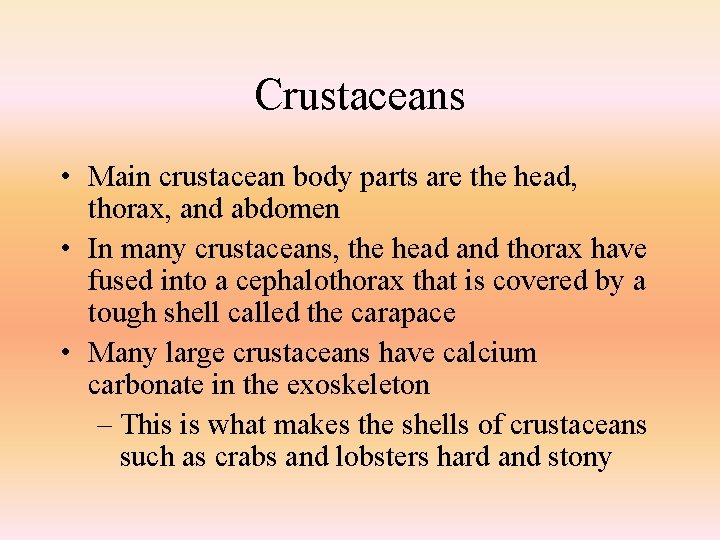 Crustaceans • Main crustacean body parts are the head, thorax, and abdomen • In