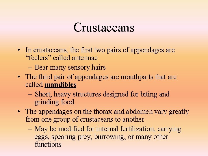 Crustaceans • In crustaceans, the first two pairs of appendages are “feelers” called antennae