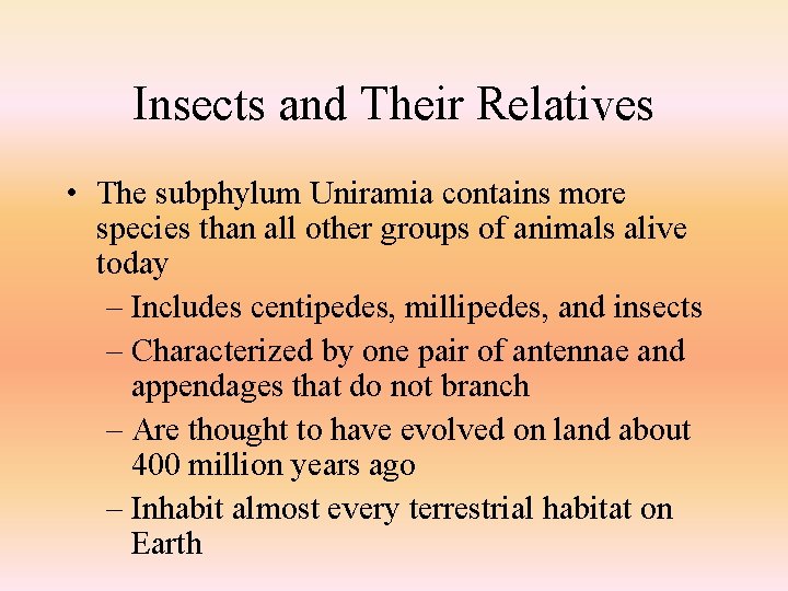 Insects and Their Relatives • The subphylum Uniramia contains more species than all other
