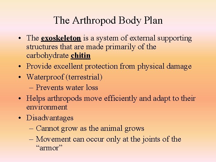 The Arthropod Body Plan • The exoskeleton is a system of external supporting structures