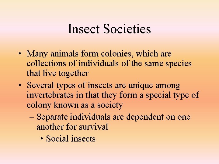 Insect Societies • Many animals form colonies, which are collections of individuals of the
