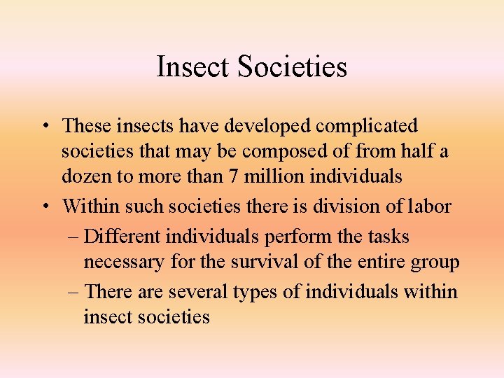 Insect Societies • These insects have developed complicated societies that may be composed of