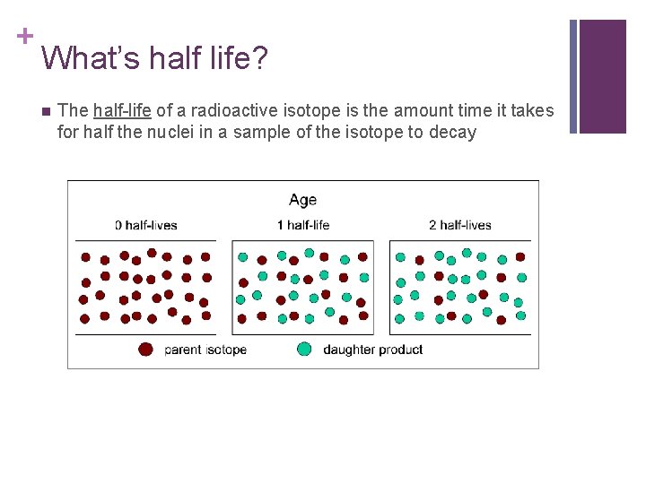 + What’s half life? n The half-life of a radioactive isotope is the amount