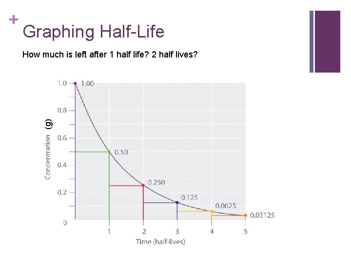 Graphing Half-Life How much is left after 1 half life? 2 half lives? (g) Graphing Half-Life How much is left after 1 half life? 2 half lives? (g)