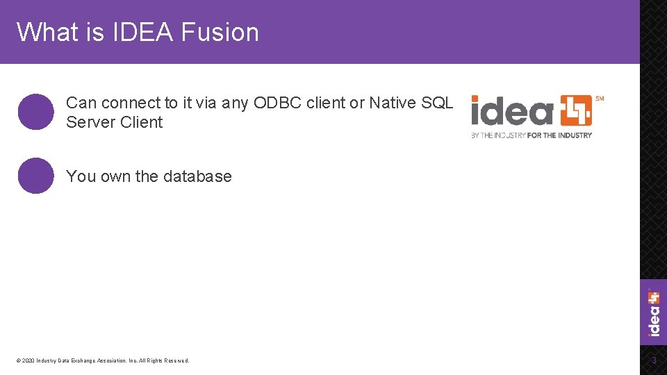 What is IDEA Fusion Can connect to it via any ODBC client or Native