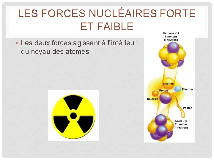 LES FORCES NUCLÉAIRES FORTE ET FAIBLE • Les deux forces agissent à l’intérieur du LES FORCES NUCLÉAIRES FORTE ET FAIBLE • Les deux forces agissent à l’intérieur du