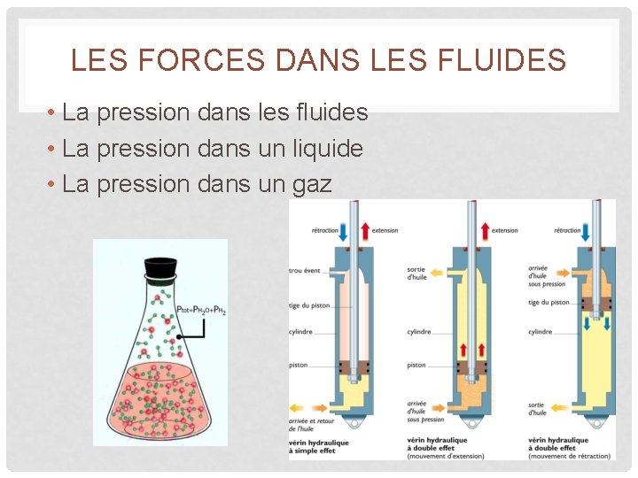 LES FORCES DANS LES FLUIDES • La pression dans les fluides • La pression LES FORCES DANS LES FLUIDES • La pression dans les fluides • La pression