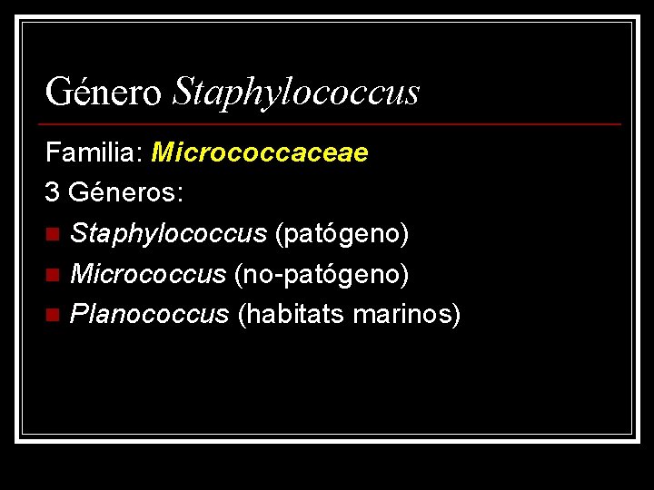 Género Staphylococcus Familia: Micrococcaceae 3 Géneros: n Staphylococcus (patógeno) n Micrococcus (no-patógeno) n Planococcus