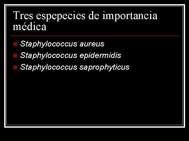 Tres espepecies de importancia médica Staphylococcus aureus n Staphylococcus epidermidis n Staphylococcus saprophyticus n