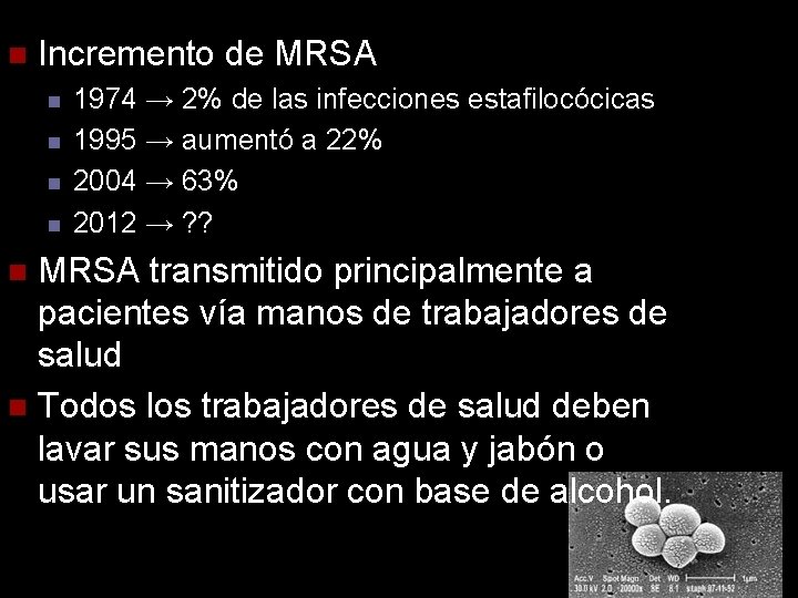 n Incremento de MRSA n n 1974 → 2% de las infecciones estafilocócicas 1995