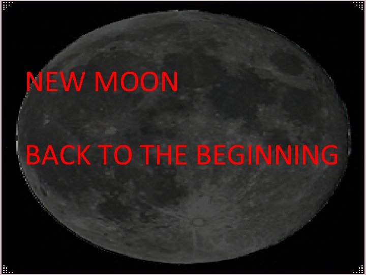 NEW MOON BACK TO THE BEGINNING 