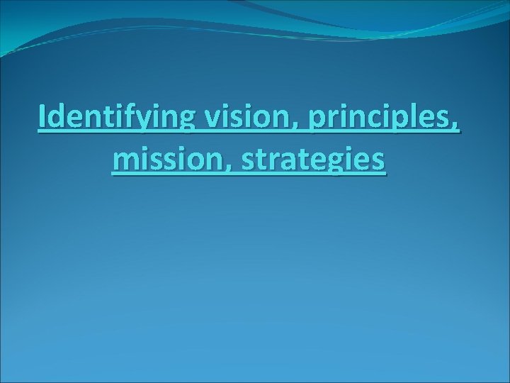 Identifying vision, principles, mission, strategies 