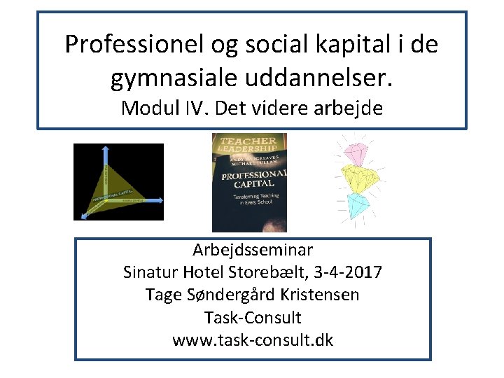 Professionel og social kapital i de gymnasiale uddannelser. Modul IV. Det videre arbejde Arbejdsseminar