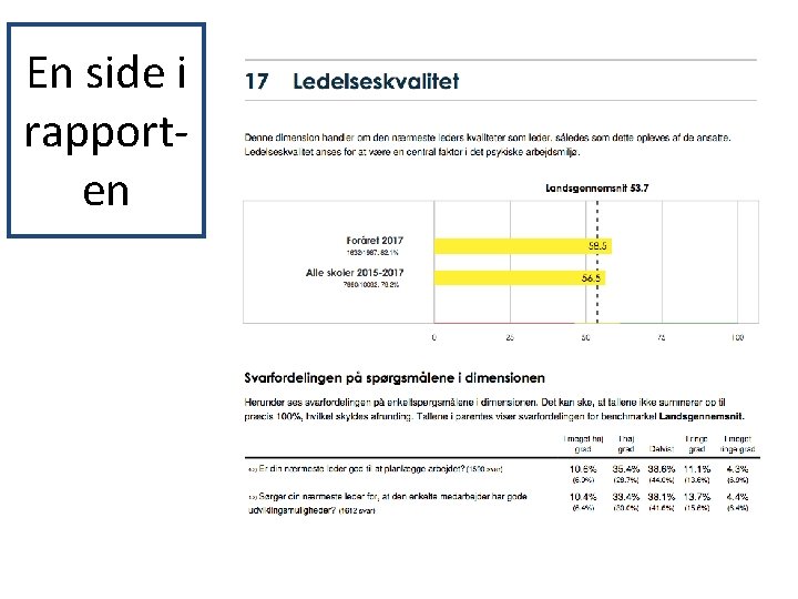 En side i rapporten 