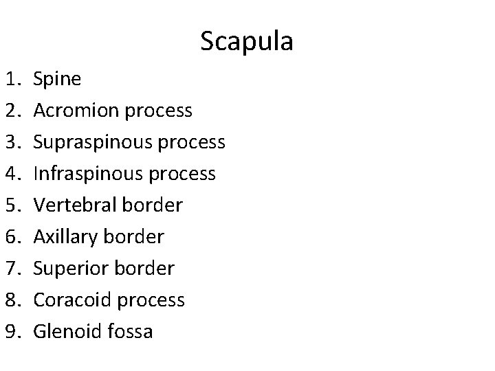 Scapula 1. 2. 3. 4. 5. 6. 7. 8. 9. Spine Acromion process Supraspinous