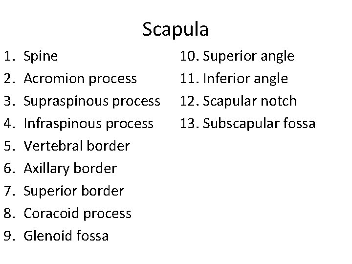 Scapula 1. 2. 3. 4. 5. 6. 7. 8. 9. Spine Acromion process Supraspinous