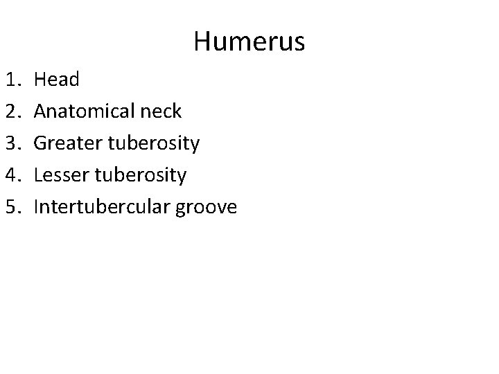 Humerus 1. 2. 3. 4. 5. Head Anatomical neck Greater tuberosity Lesser tuberosity Intertubercular