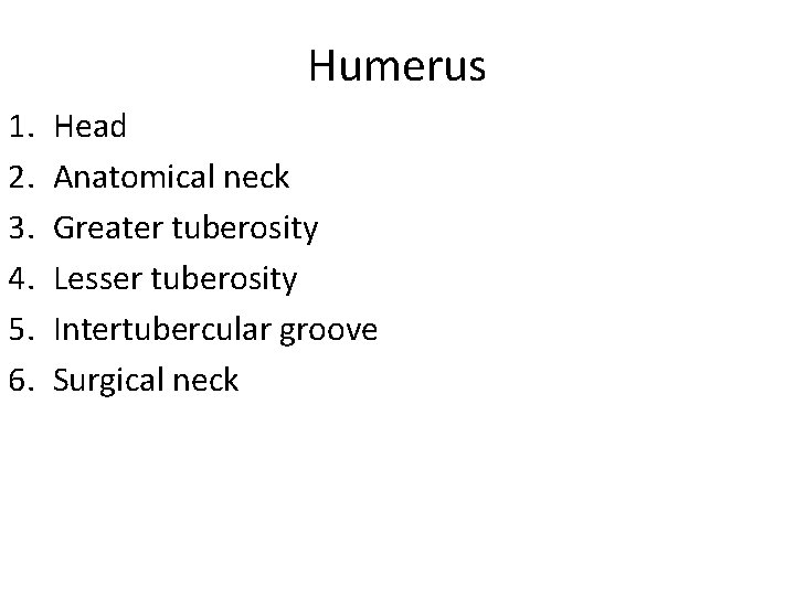 Humerus 1. 2. 3. 4. 5. 6. Head Anatomical neck Greater tuberosity Lesser tuberosity