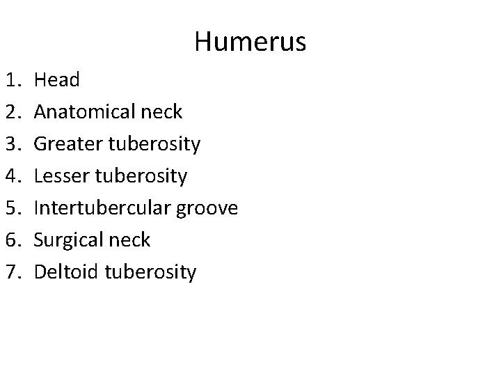 Humerus 1. 2. 3. 4. 5. 6. 7. Head Anatomical neck Greater tuberosity Lesser