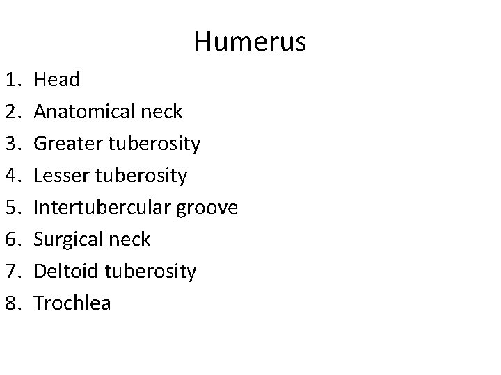 Humerus 1. 2. 3. 4. 5. 6. 7. 8. Head Anatomical neck Greater tuberosity