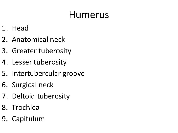 Humerus 1. 2. 3. 4. 5. 6. 7. 8. 9. Head Anatomical neck Greater