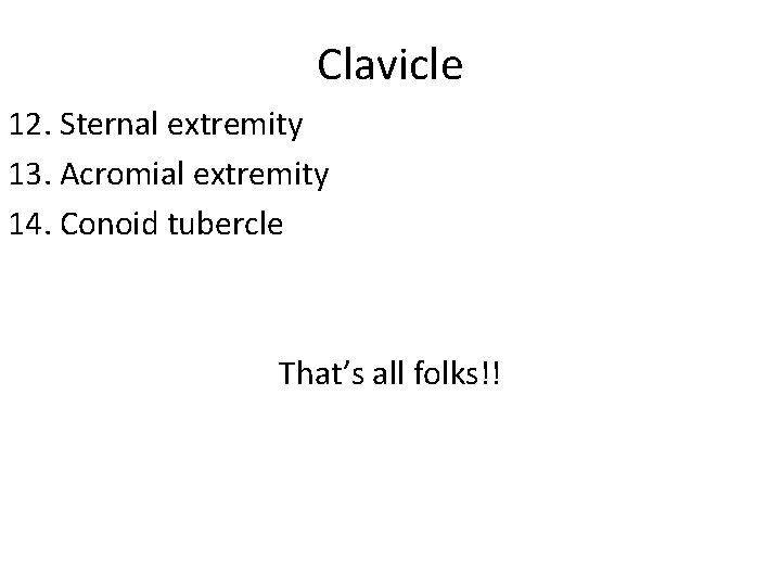 Clavicle 12. Sternal extremity 13. Acromial extremity 14. Conoid tubercle That’s all folks!! 