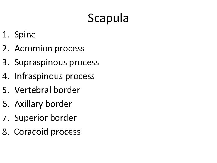 Scapula 1. 2. 3. 4. 5. 6. 7. 8. Spine Acromion process Supraspinous process