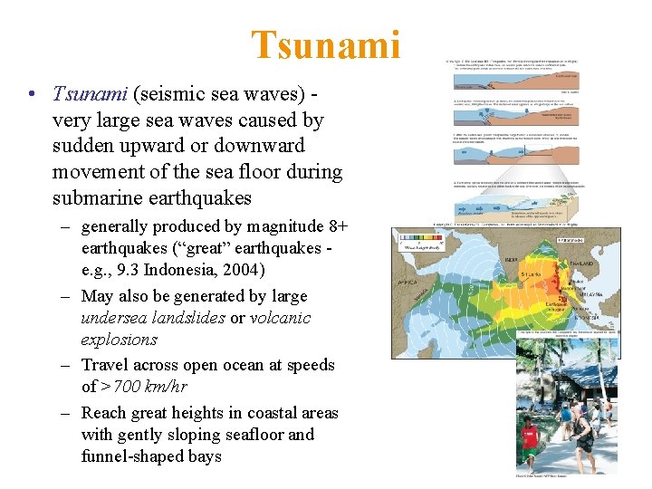 Tsunami • Tsunami (seismic sea waves) very large sea waves caused by sudden upward