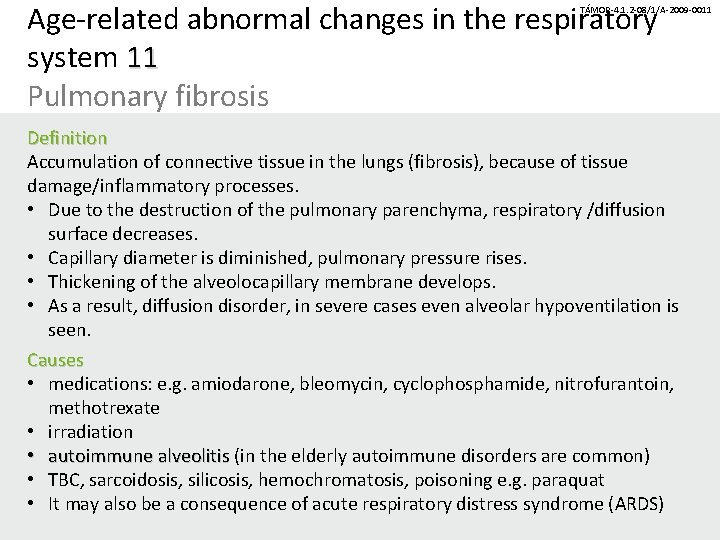 Age-related abnormal changes in the respiratory system 11 Pulmonary fibrosis TÁMOP-4. 1. 2 -08/1/A-2009