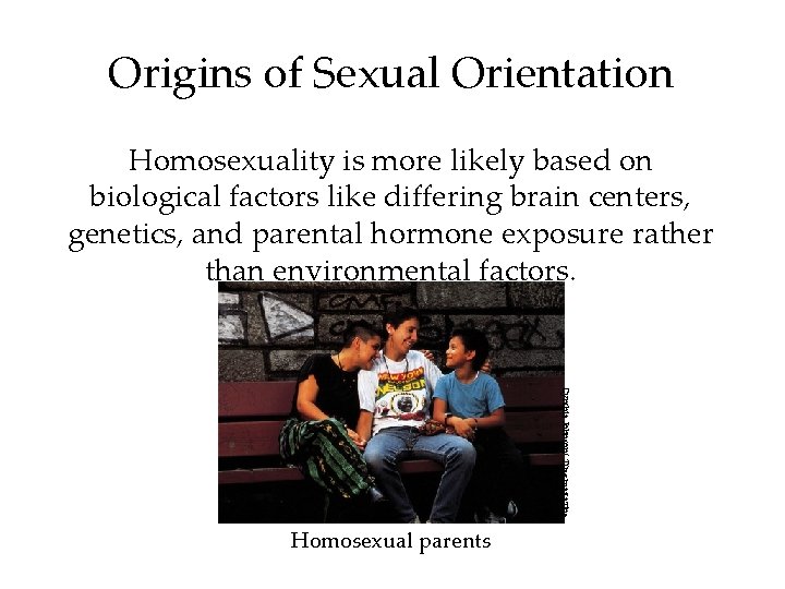 Origins of Sexual Orientation Homosexuality is more likely based on biological factors like differing