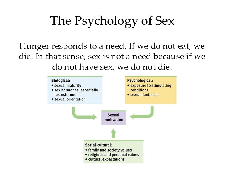 The Psychology of Sex Hunger responds to a need. If we do not eat,