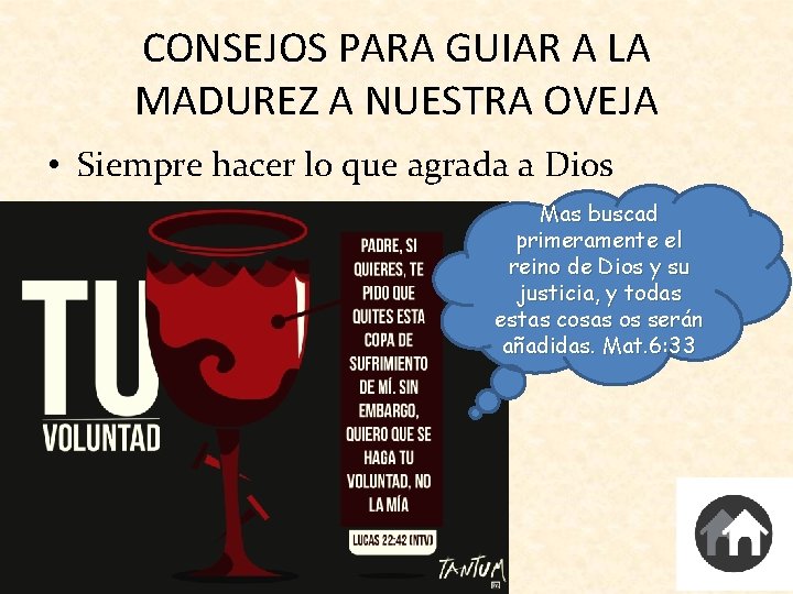 CONSEJOS PARA GUIAR A LA MADUREZ A NUESTRA OVEJA • Siempre hacer lo que