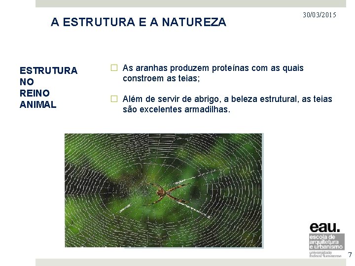 PROJETO NO MERCADO IMOBILIÁRIO A ESTRUTURA E A NATUREZA ESTRUTURA NO REINO ANIMAL 30/03/2015