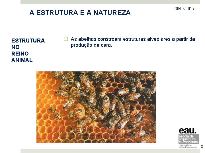 PROJETO NO MERCADO IMOBILIÁRIO A ESTRUTURA E A NATUREZA ESTRUTURA NO REINO ANIMAL 30/03/2015