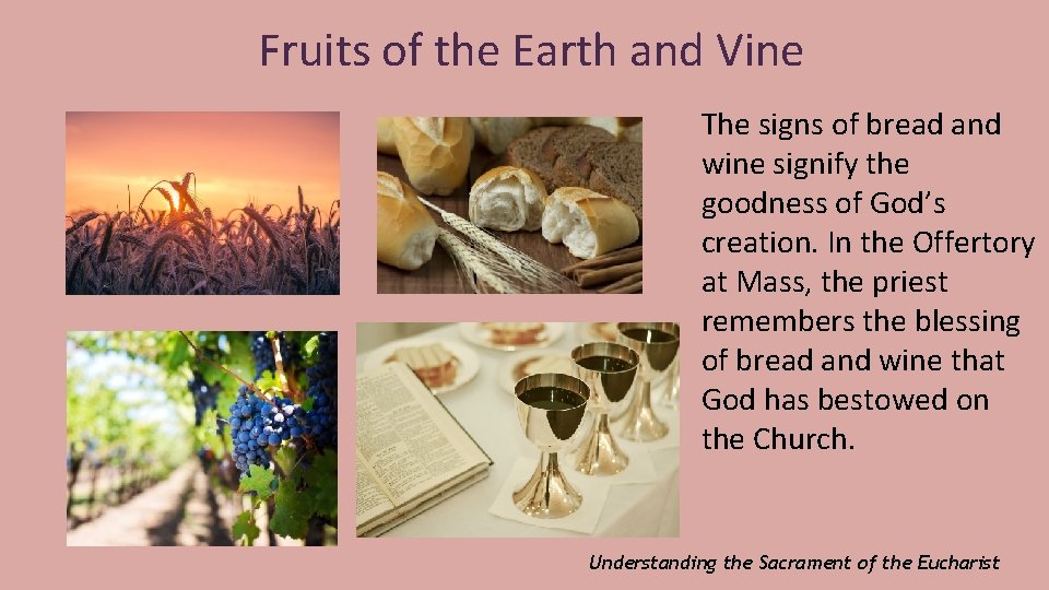 Fruits of the Earth and Vine The signs of bread and wine signify the