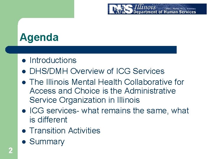 Agenda l l l 2 Introductions DHS/DMH Overview of ICG Services The Illinois Mental