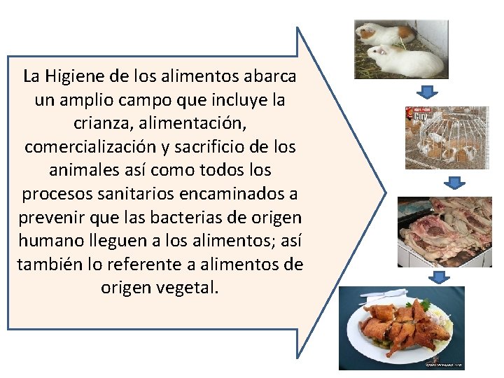 La Higiene de los alimentos abarca un amplio campo que incluye la crianza, alimentación,