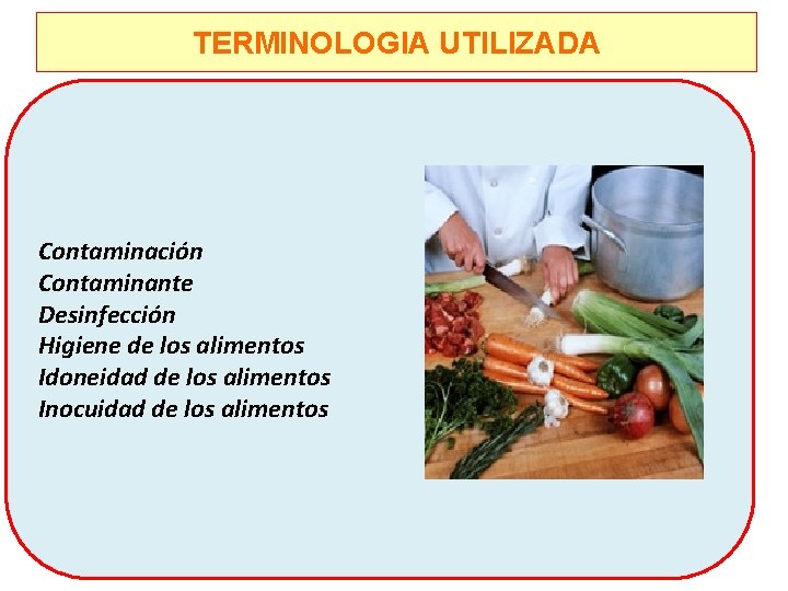 TERMINOLOGIA UTILIZADA Contaminación Contaminante Desinfección Higiene de los alimentos Idoneidad de los alimentos Inocuidad