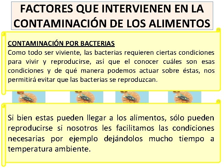 FACTORES QUE INTERVIENEN EN LA CONTAMINACIÓN DE LOS ALIMENTOS CONTAMINACIÓN POR BACTERIAS Como todo