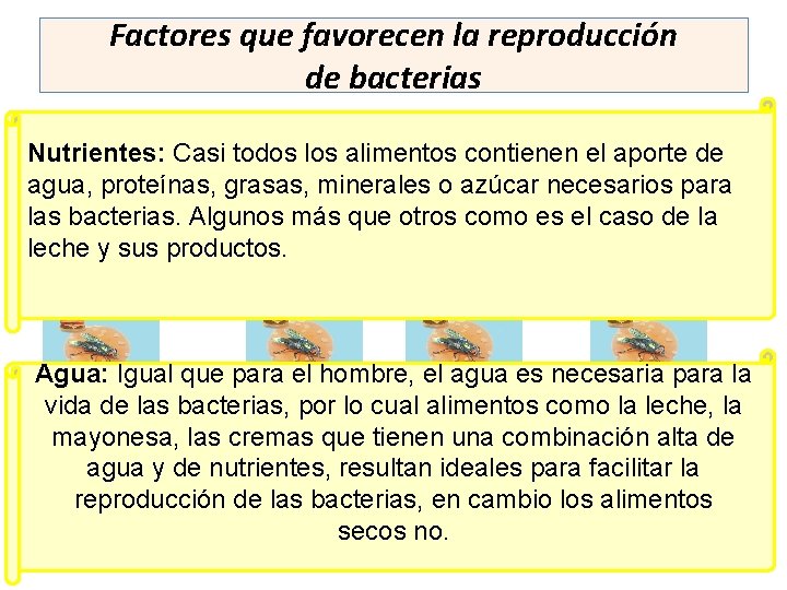 Factores que favorecen la reproducción de bacterias Nutrientes: Casi todos los alimentos contienen el