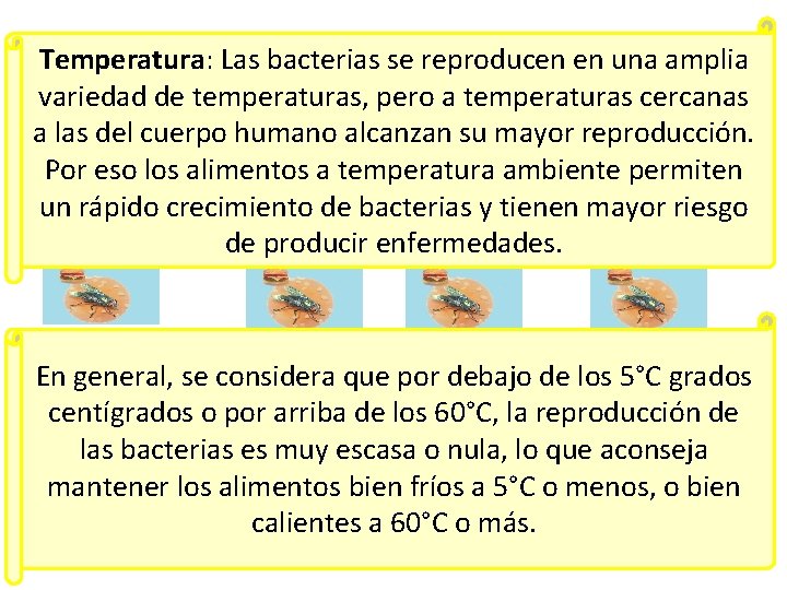 Temperatura: Las bacterias se reproducen en una amplia variedad de temperaturas, pero a temperaturas