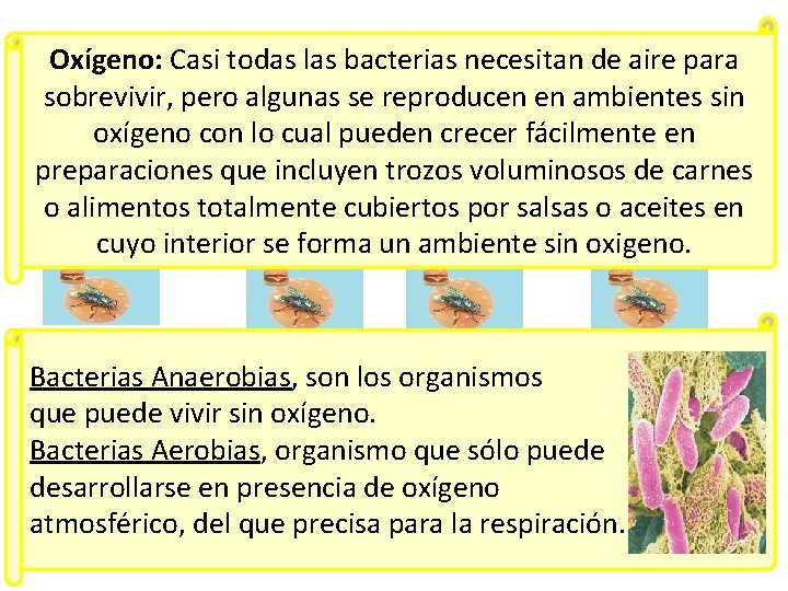 Oxígeno: Casi todas las bacterias necesitan de aire para sobrevivir, pero algunas se reproducen