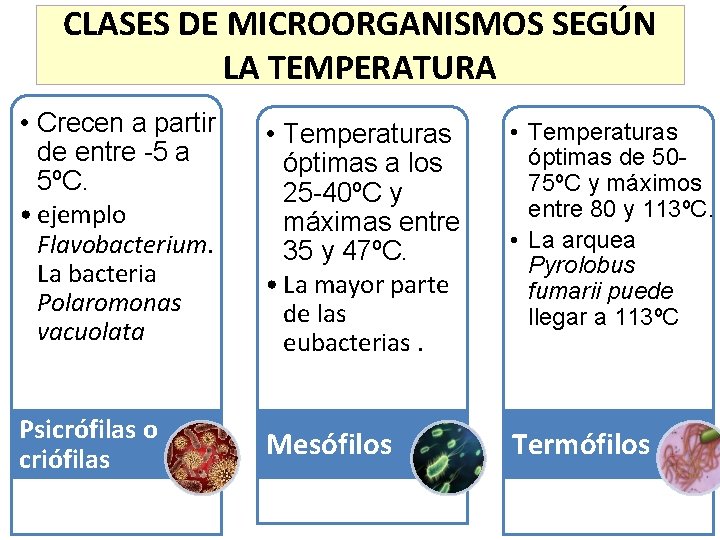 CLASES DE MICROORGANISMOS SEGÚN LA TEMPERATURA • Crecen a partir de entre -5 a